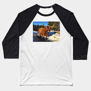 Scottish Highland Cattle Cow 1919 Baseball T-Shirt
